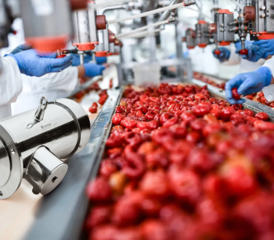 The New Alternative of Stainless Steel Motors and Gearboxes for New Zealand Food and Beverage Plants