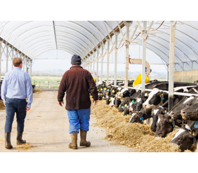 Eliminate Downtime with a Trusted New Zealand Partner