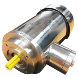 STAINLESS STEEL MOTORS