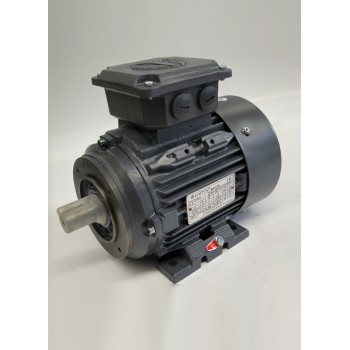 AC MOTORS 3PH TECHTOP - CAST IRON