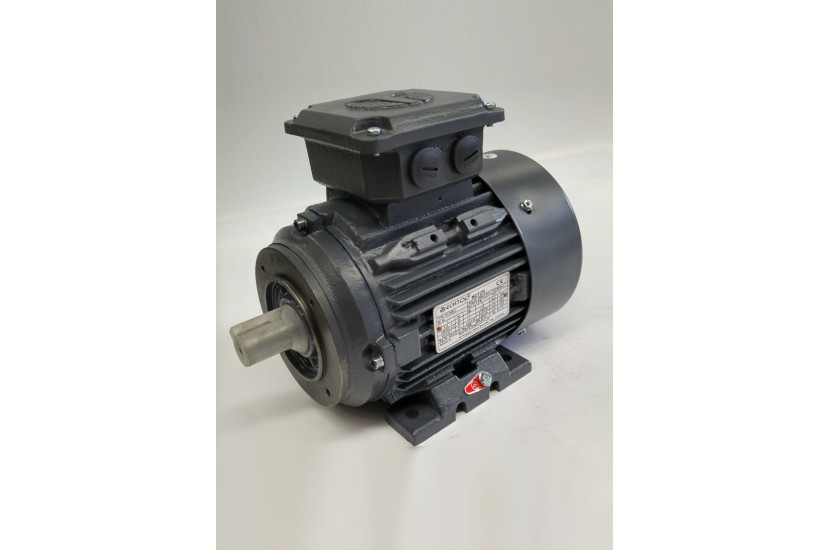 AC MOTORS 3PH TECHTOP - CAST IRON