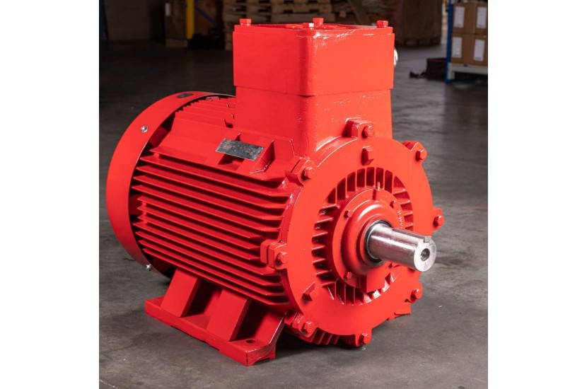 TCD YBX3 EX db FLAMEPROOF MOTOR