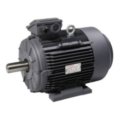 THREE PHASE AC MOTOR