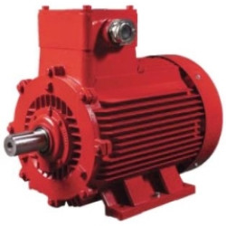 EX D FLAMEPROOF MOTORS