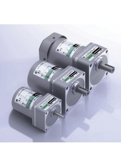 ORIENTAL KII AC GEARED MOTOR