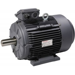 Three Phase AC Motor