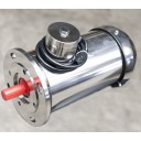 TEMA IP67 STAINLESS STEEL MOTOR